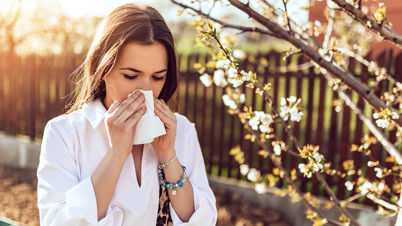 Apr22 hayfever summary.jpg